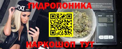 шишки Малгобек