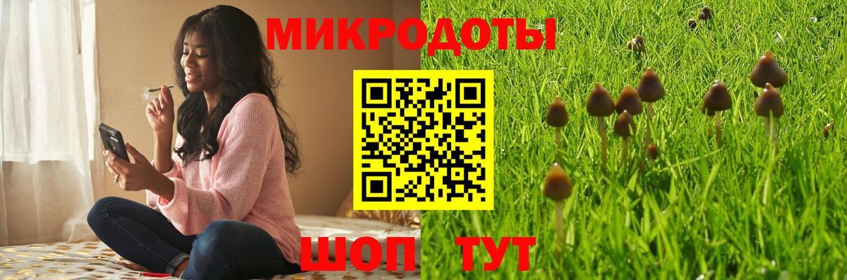 Тулун  Галлюциногенные грибы Psilocybe  Галлюциногенные грибы прущие грибы  Вход с VPN 