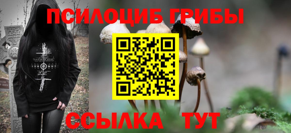 Галлюциногенные грибы Psilocybine cubensis Тулун